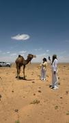 Royal Sahara Dome Camp