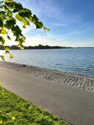 Top Stralsund