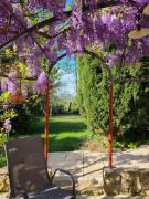 Top Mirepoix