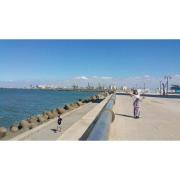 Top Casablanca