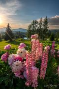Top Piatra Fantanele