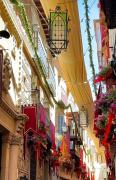 Top Burguillos de Toledo