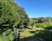 Top Montfaucon