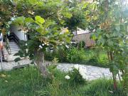 Top Struga