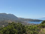 Himara Olive House