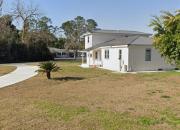 Top Live Oak