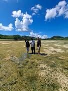 Top Banggai