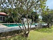 Top Ko Samui