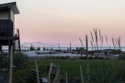 Top Oyster Bay