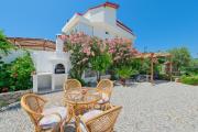 Tetra clover suites