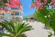 Tetra clover suites