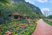 Top Ninh Binh