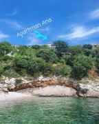 Top Senj