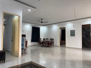 Top Noida