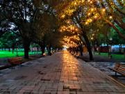Top Monterrey