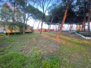 Top Roccelletta