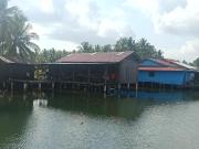 Friend of Nature Homestay