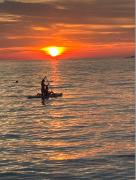 Top Novigrad Istria Top Novigrad Istria