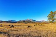 Top Pagosa Springs