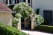 Top Port-Lesney