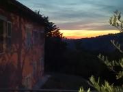 Top Camerino