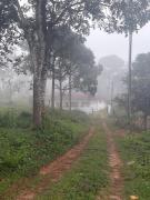 Top Kalpetta