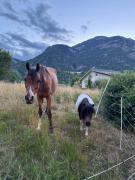 Top Champdepraz