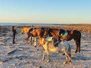 Top Djerba