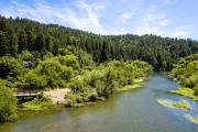 Top Guerneville