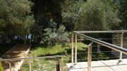 Top Himare