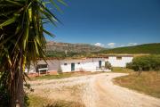 Top Dorgali