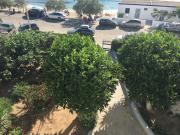 Top Gallipoli