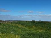 BeachHus 35, Whg 5