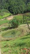 Top Aguas Mornas