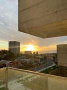 Top Viña del Mar