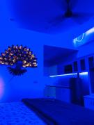 Top Greater Noida