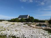 Top Langebaan