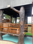Top Wayanad