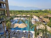 Pool View Palm 002