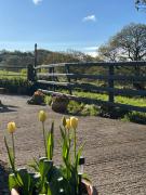 Top Hyssington