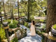 Top Da Lat