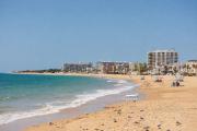 Los Girasoles, your ideal getaway - Los Girasoles, tu escapada ideal