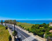 Top Anzio