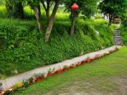 Top McLeod Ganj