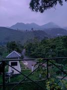 Top Vagamon