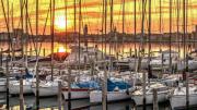 Top Chioggia