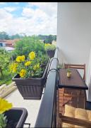 Top Vrnjačka Banja