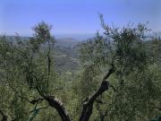Top Costa Carnara