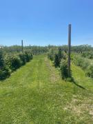 Top St. Catharines Top St. Catharines