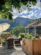 Top Lenk